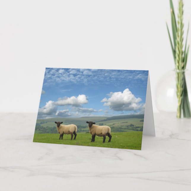 Tarjeta Corderos (Anverso)
