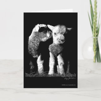 Tarjeta Corderos