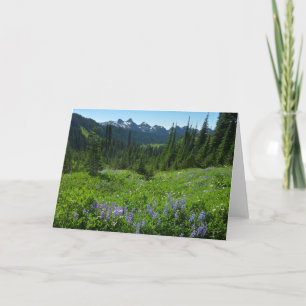 Tarjeta Cordillera de las Cascadas desde el Parque Naciona