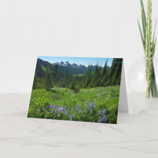 Tarjeta Cordillera de las Cascadas desde el Parque Naciona