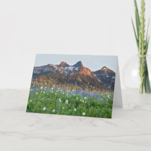 Tarjeta Cordillera de Tatoosh y flores silvestres   Monte 