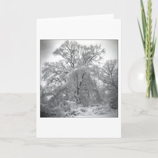 Tarjeta cordón (Anverso)