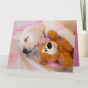 Tarjeta Cordones de cachorro 02