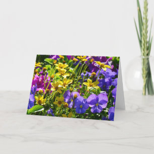 Tarjeta Coreopsis amarilla y violeta púrpura floral colori