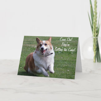 Tarjeta Corgi