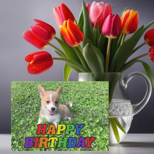 Tarjeta Corgi Cuppy Dog Photography Rainbow Birday (Subido por el creador)