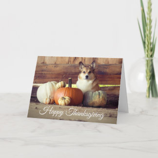 Tarjeta Corgi de la acción de gracias