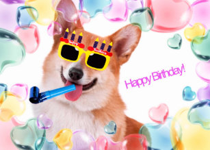 Gluckwunschkarte Geburtstag Donna May Happy Birthday Hund Mit