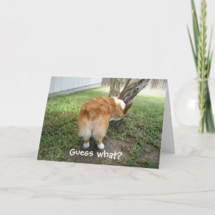 Tarjeta Corgi Divertido