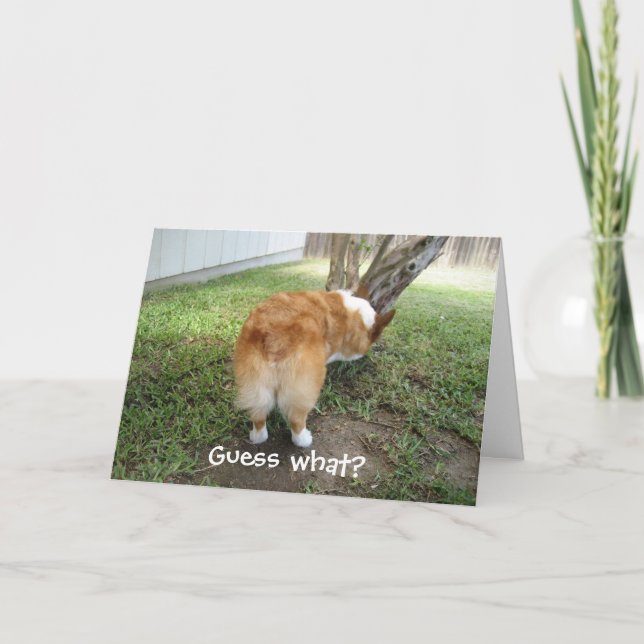 Tarjeta Corgi Divertido (Anverso)
