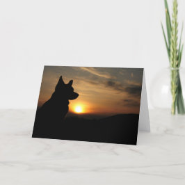 Tarjeta Corgi en blanco al atardecer