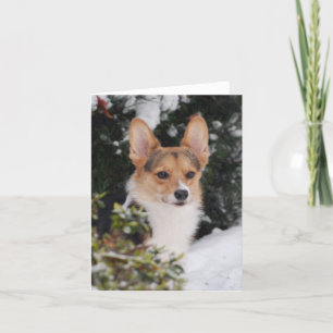 Tarjeta Corgi en la nieve