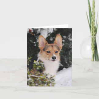 Tarjeta Corgi en la nieve