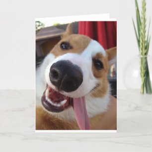 Tarjeta Corgi galés de pembroke rojo y blanco