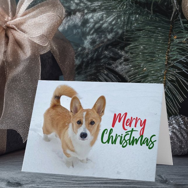 Tarjeta Corgi Merry Christmas Dog in Snow Photo Holiday (Subido por el creador)