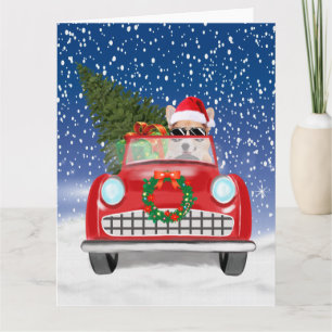 Tarjeta Corgi Perro Conduciendo Coche En Navidad Nieve
