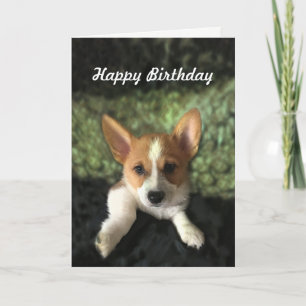 Tarjeta Corgi Puppy Feliz Cumpleaños