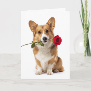 Tarjeta Corgi San Valentín – Gran amor con patas cortas