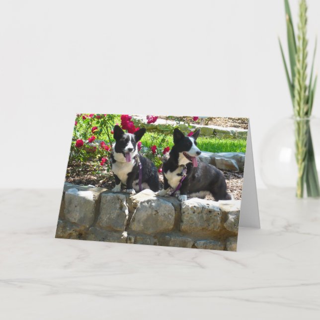 Tarjeta corgis (Anverso)