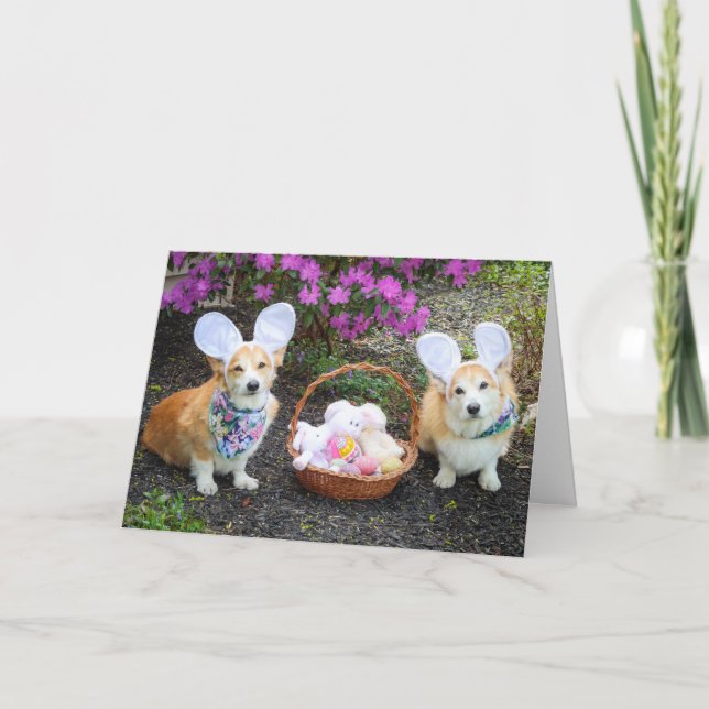 Tarjeta Corgis conejos de Pascua de saludo (Anverso)