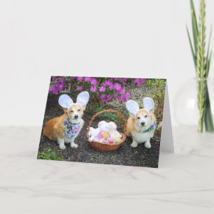 Tarjeta Corgis del conejo de Pascua saludando