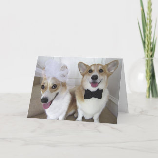 Tarjeta corgis vestidos encima como de novia y de novio