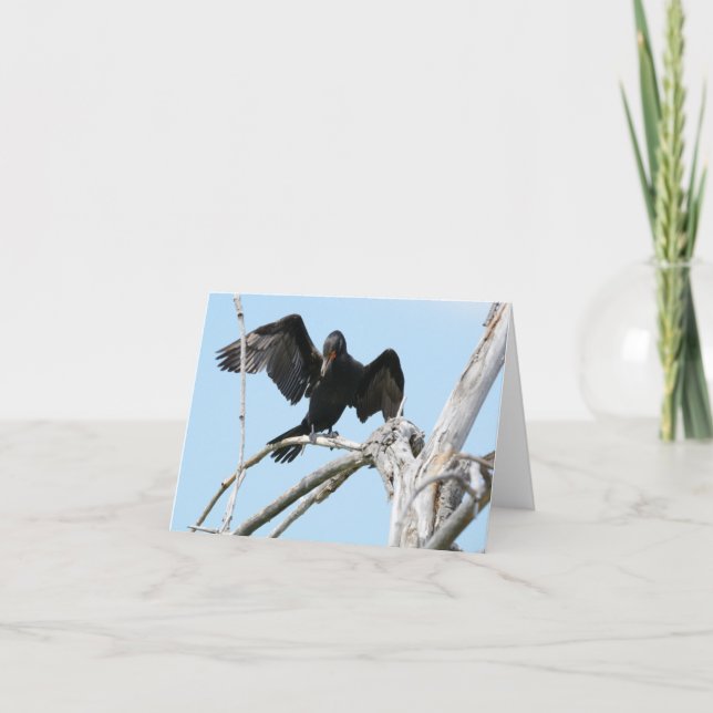 Tarjeta Cormorán usando las alas a equilibrar (Anverso)