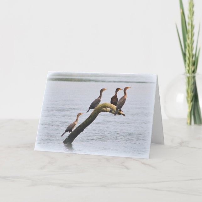 Tarjeta Cormorant Notecard (Anverso)