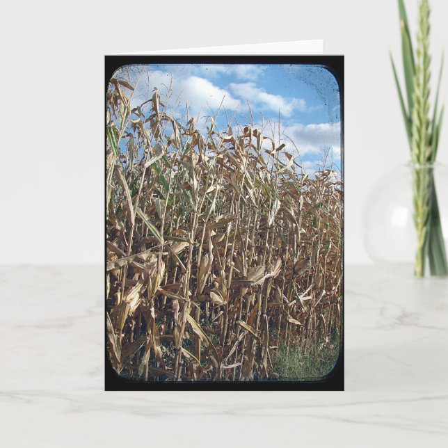 Tarjeta Corn Field TTV (Anverso)
