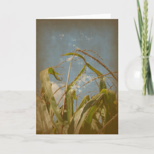 Tarjeta Corn Grunge
