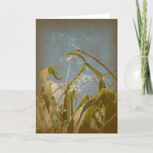 Tarjeta Corn Rural Grunge Todas Las Ocasiones