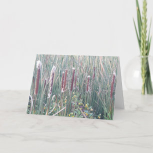 Tarjeta "Corndogs de la naturaleza"