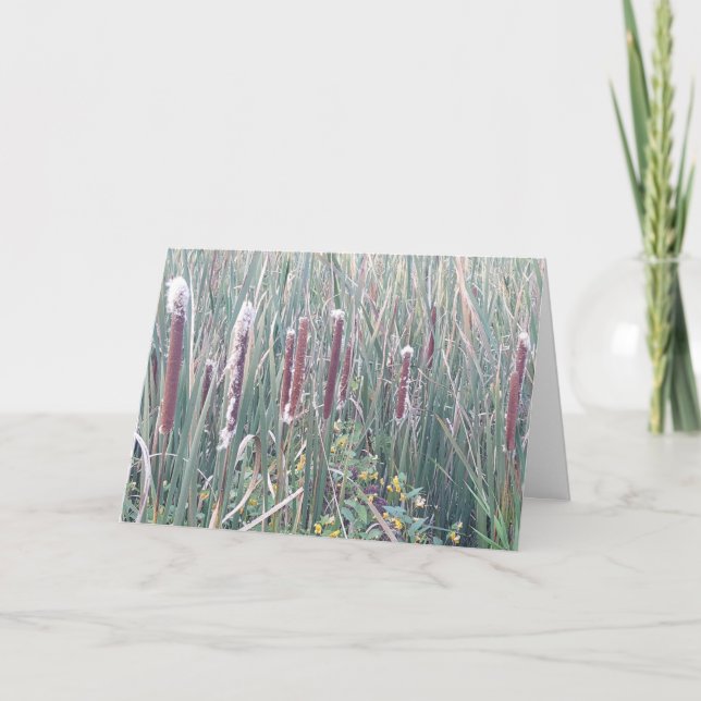 Tarjeta "Corndogs de la naturaleza" (Anverso)