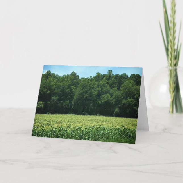 Tarjeta Cornfield en Carolina del Norte Rural (Anverso)