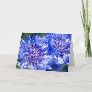 Tarjeta Cornflower azul