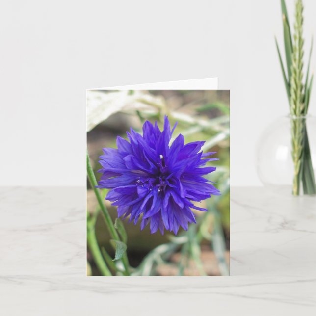 Tarjeta Cornflower azul (Anverso)