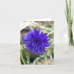 Tarjeta Cornflower azul