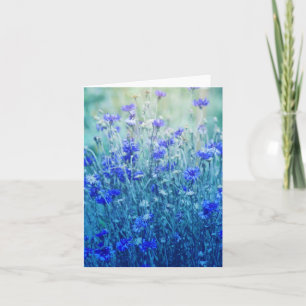 Tarjeta Cornflowers