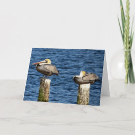 Tarjeta Coro pelicano marrón basado en mensajes de bienven