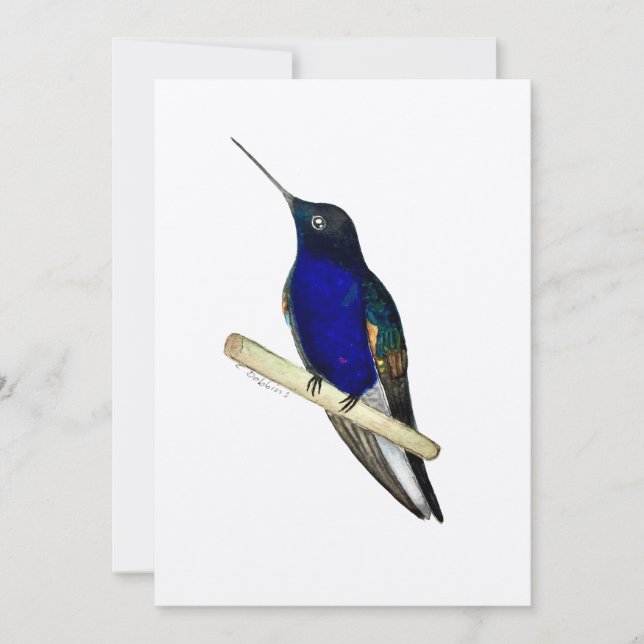 Tarjeta Coronet Hummingbird (Anverso)