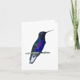 Tarjeta Coronet Hummingbird de terciopelo morado