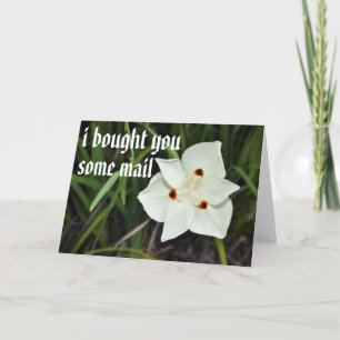 Tarjeta correo