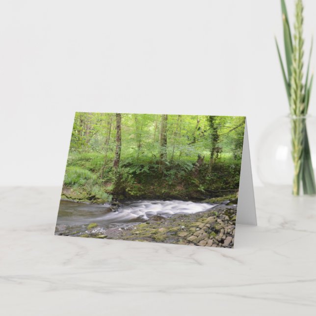 Tarjeta Corriente inglesa del arbolado (Anverso)