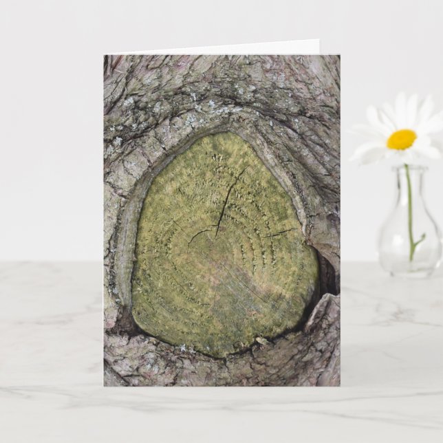 Tarjeta Cortar la rama del árbol con el cierre (Planta pequeña)