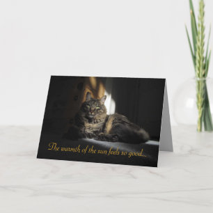 Tarjeta Cortes de gatos Kimber con luz solar te amo