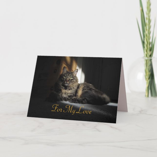 Tarjeta Cortes de gatos Kimber en aniversario de luz solar (Anverso)