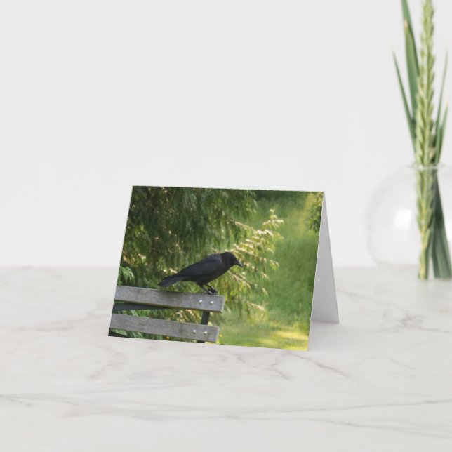 Tarjeta Corvus brachyrhynchos, American Crow (Anverso)