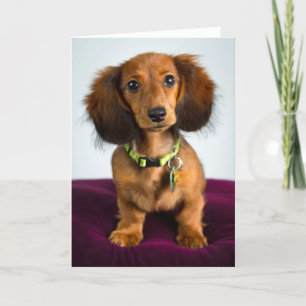 Tarjeta Cosas cortas