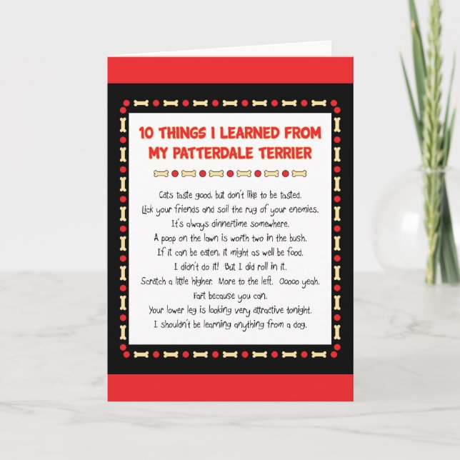 Tarjeta Cosas Graciosas Que Aprendí De Mi Patterdale Terri (Anverso)