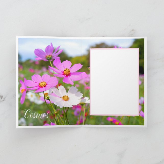 Tarjeta Cosmos (Interior)